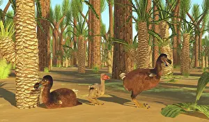 Fern: A family of Dodo birds rest among a forest of trees