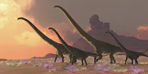 Mamenchisaurus: A family of Mamenchisaurus dinosaurs