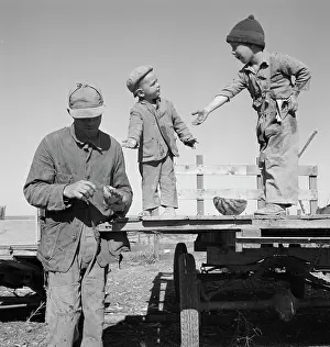 Watermelon: Family - Migrants - Occupations - Worker