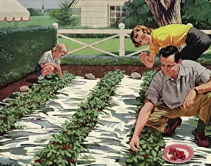 Picks: Family Picks Berries