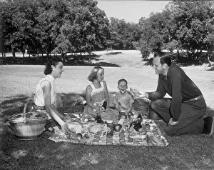 Picnicing: Family Picnic
