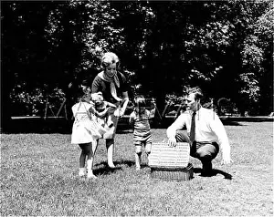 Marvellous: FAMILY PICNIC