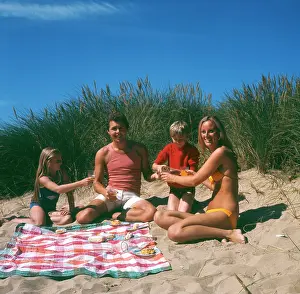 Tanned: Family of four with picnic on beach