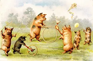 Hoop: Family of pigs playing in a field