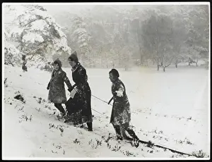 C1940: FAMILY SLEDGING C1940