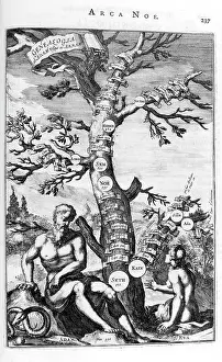 1675: Family tree of Adam to Abraham; from Arca Noe