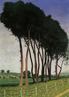 Think: Family of Trees