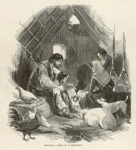 Convenient: Famine Distress