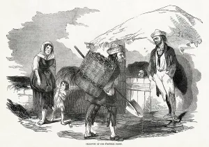 Connell: FAMINE DISTRESS
