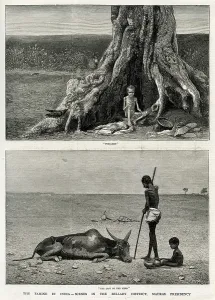 Starved: Famine in India, 1877