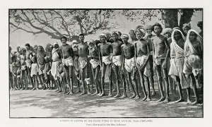 Scarcity: Famine in India, 1897