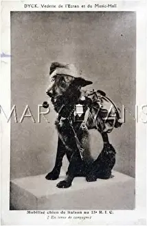Rucksack: FAMOUS DOG DYCK
