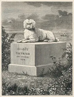 Mentone: FAMOUS DOG PIETRINO