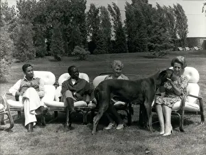 Senghor: Famous People's Families