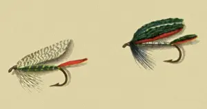 Atherton: Fancy English Lures