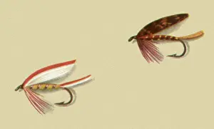 Atherton: Two Fancy Flies