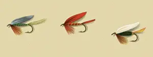 Atherton: Three Fancy Flies