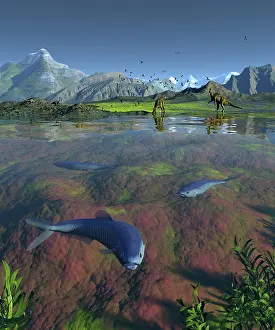 Inland: Fanged Enchodus predatory fish from the late Cretaceous ?