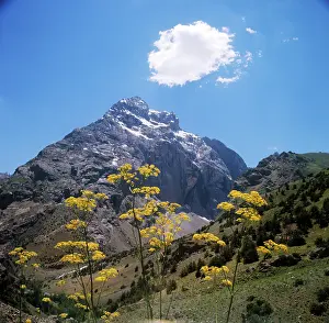 5000: Fann Mountains, 1974