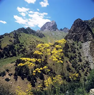 Tajik: Fann Mountains, 1974