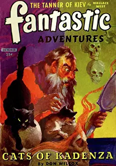 Fantastic: Fantastic Adventures - Cats of Kadenza