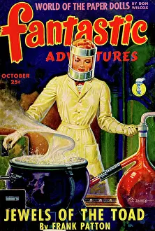 Fantastic: Fantastic Adventures - Jewels of the toad