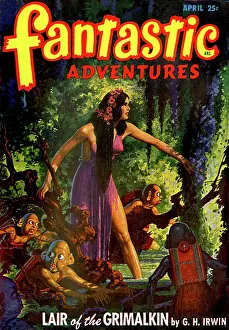 Fantastic: Fantastic Adventures - Lair of the Grimalkin