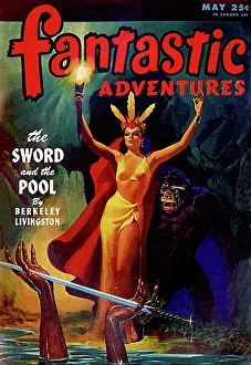 Fantastic: Fantastic Adventures - The Sword and the Pool