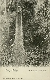 Aug19: Fantastic Rope Bridge - Belgian Congo, Central Africa