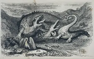 Dinosaurs: A fantasy illustration of pre-historic reptiles