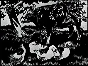 Farm Animals