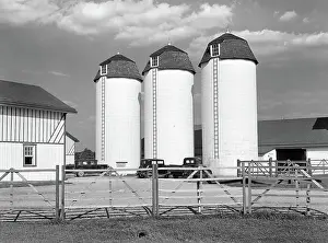 Silos: farm - barn - silos - agriculture