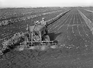 Insecticides: Farm - crops - agriculture - insecticides