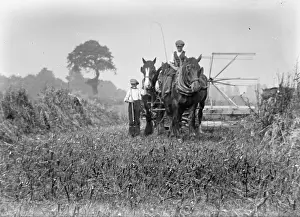 Hay Making: Farm - Gentleman on horses - hay-making