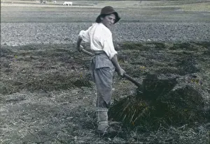 Manure: A farm hand is manuring
