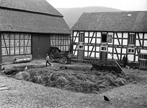 Stables: Farm in Hessen in the 1930s