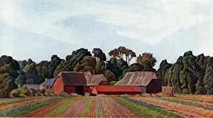 Braithwaite: Farm at Holdenhurst, Hampshire