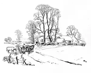 Haycart: Farm Labourer Throwing out Hay to Cows