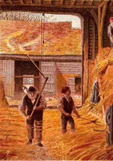 1869: Farm labourers threshing corn with flails on the