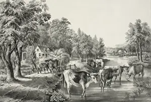 C1867: Farm life in summer: The cooling stream
