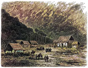 Gavan: Farm in Peru
