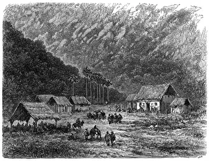 Gavan: Farm in Peru