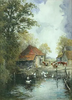 Kinnaird: The Farm Pond ' white ducks in pond