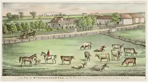 Huntingdon: FARM IN QUEBEC