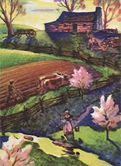 Ploughs: Farm Scene