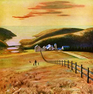 Falter: Farm Scene