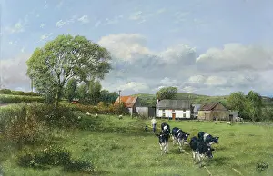 Madgwick: Farm Scene, Near Chittlehampton, Devon