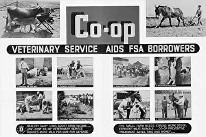 Recessions: Farm Security Administration poster promoting ?
