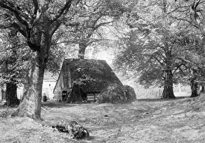 Teutoburger: Farm in the Teutoburger Forest, 1915