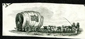 Wagons: Farm wagon and eight horses